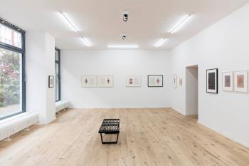The Algorists, Exhibition View, 2026. Photo: Ea Bertrams.  &copy;  the artists